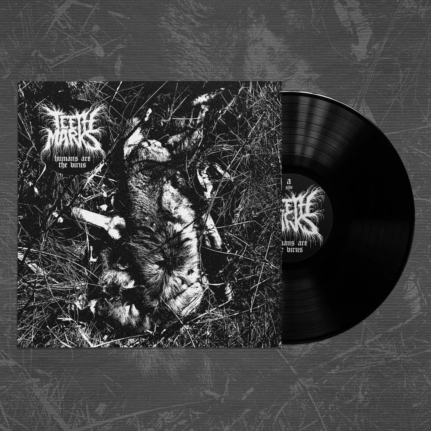 TEETH MARKS 'HATV' VINYL